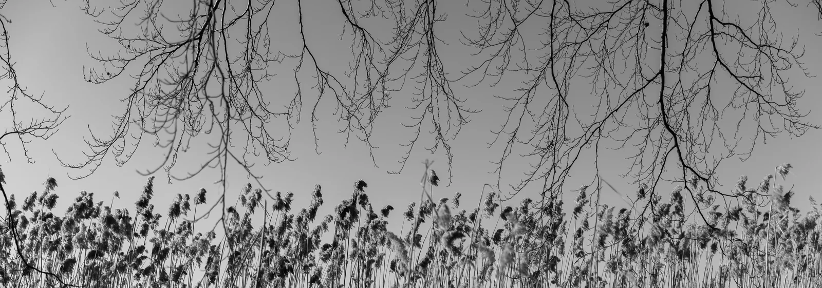 Workshops Headerbild