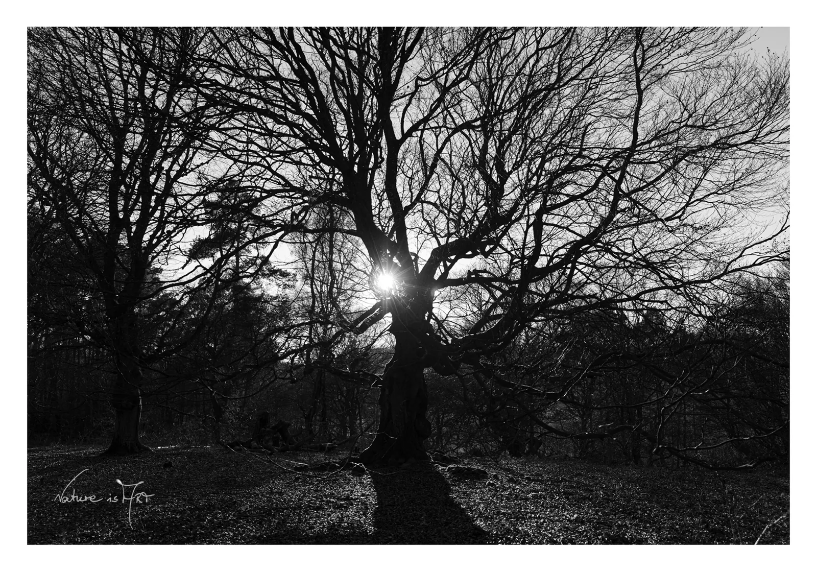 Postkarten Kunst-Edition